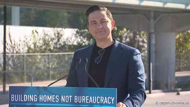 Pierre Poilievre says WestJet passengers were 'delighted' by impromptu speech