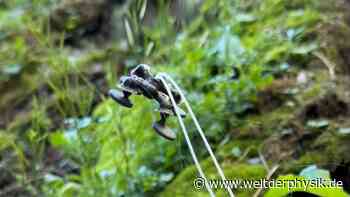 Kräftiger Mikroroboter mit Methanantrieb