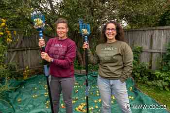 These Thunder Bay harvesters turn unwanted apples turn into a sweet treat