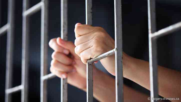 Animal cruelty sentence could be longest in Canadian history