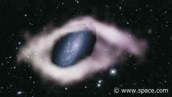 Our universe holds more 'spectacular' polar ring galaxies than once thought, scientists say