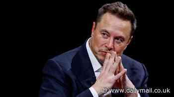 Musk adds major new privacy feature on X, the site formerly known as Twitter