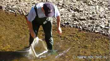 Submissions to NSW parliamentary inquiry warn of 'wilful blindness' in heavy metal mining pollution