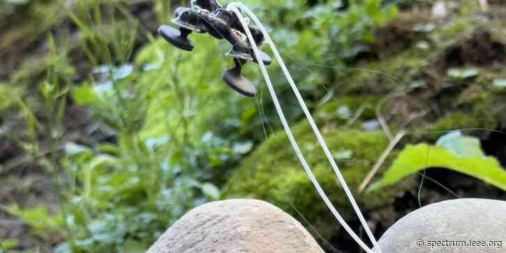 Soft Robot Walks by Repeatedly Blowing Itself Up