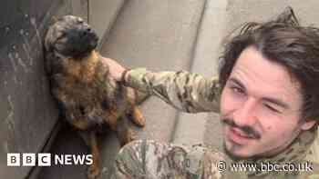 Samuel Newey: Counselling plan in name of volunteer killed in Ukraine