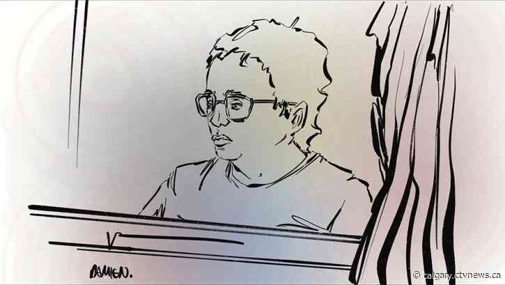 Calgary woman who admitted to torturing, killing cats sentenced to more than 6 years