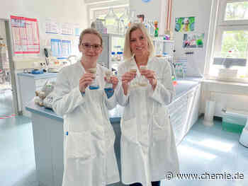 Biokunststoff aus Papierhandtüchern?