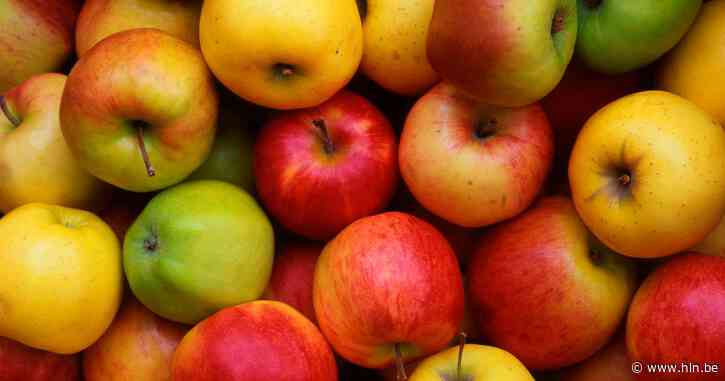 Binnenkort appels en peren uit Vlaanderen in de Vietnamese winkelrekken?