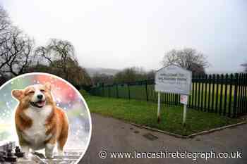Hyndburn to get new dog warden as part of parks boost