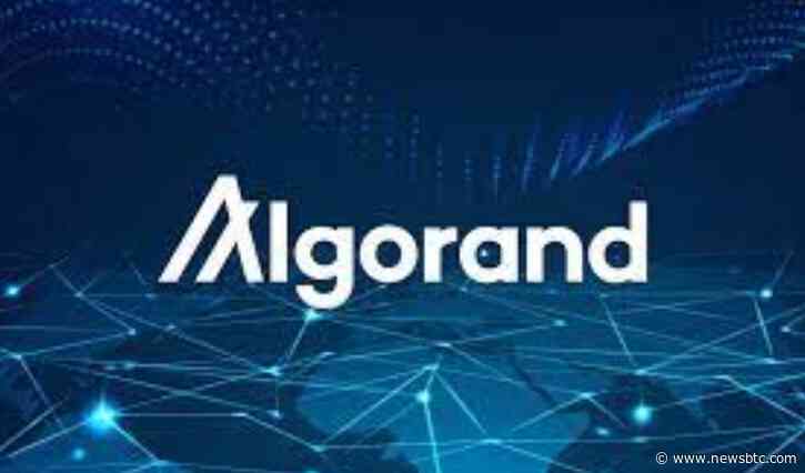 Algorand (ALGO) May Have A Chance At A Bullish Streak – Here’s How