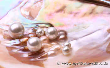 Die verborgenen Schätze der See