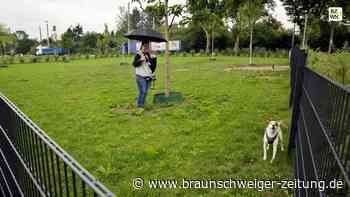 Kompliziert, komplizierter, Wolfsburger Hundewiese