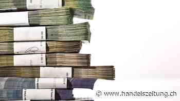 Schweizer Trust laut Bundesrat politisch nicht mehrheitsfähig