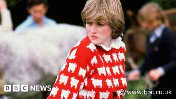 Million-dollar sweater: Bids pour in for Diana's sheep jumper