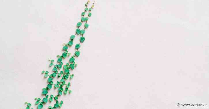 Adtech wird ein bisschen grüner