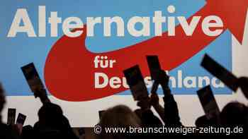 AfD in Umfragen klar zweitstärkste Kraft