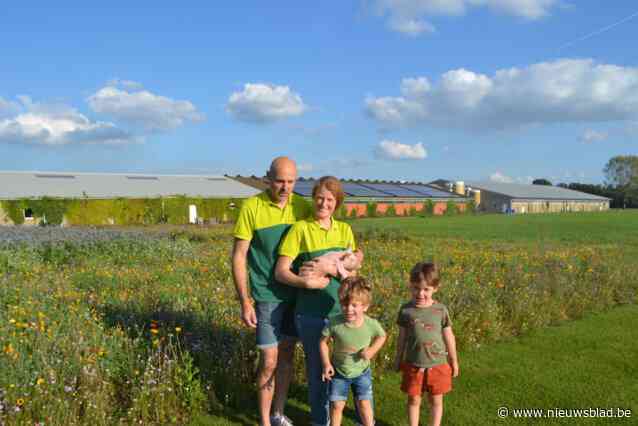 Bart (50) en Juliet kweken met veel oog voor mens en dier varkens op hun Zeugjeshoeve: “Behalve in de kraamstal zitten onze dieren nog nauwelijks in kooien”