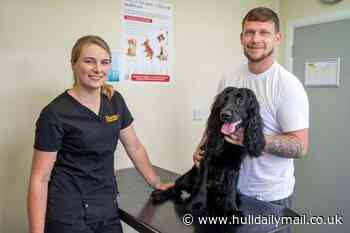 Hull vets issue urgent warning after dog swallows deadly veg