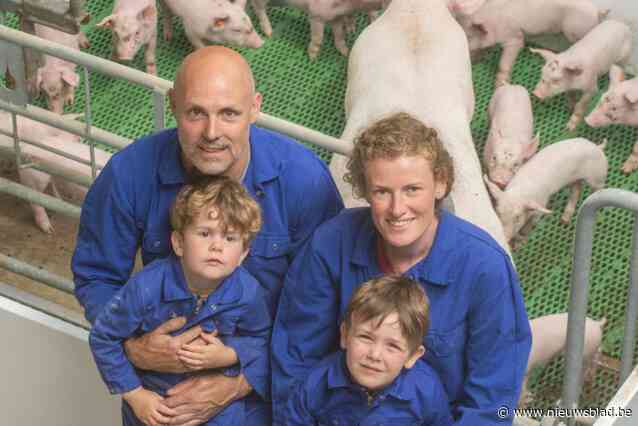 Bart en Juliet kweken varkens op Zeugjeshoeve, met oog voor mens én dier: “Onze dieren zitten nog nauwelijks in kooien”