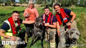 Firefighters rescue dog Wallace trapped in Coggeshall river mud
