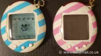 Is treasure lurking in YOUR attic? The unexpected retro gadgets now worth THOUSANDS