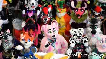 Sask. school division says it's not letting students 'identify as furries'