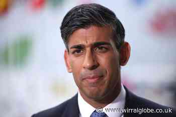 American Bully XL dog breed will be banned by end of 2023