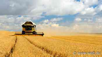 Die Zukunft der deutschen Bauern wird immer mehr zur Glückssache