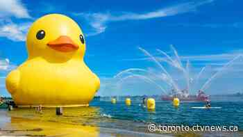 From TIFF to a massive rubber duck, here’s what to do in Toronto this weekend