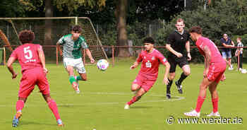 Volles Programm für Werder Junioren