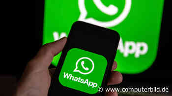 Nein, WhatsApp plant kein Werbemodell