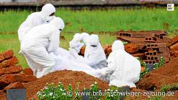 Virologe: So groß ist die Gefahr durch das Nipah-Virus