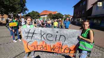 50 Gifhorner fordern konsequenten Klimaschutz