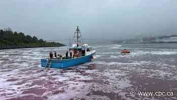 Oceans could be used for carbon capture on a big scale