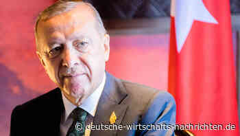 Türkei bestellt Atomkraftwerk in China