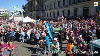 Braunschweig: Geht Fridays for Future die Puste aus?