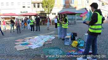 Fridays for Future in Helmstedt: „Wir müssen laut werden!“
