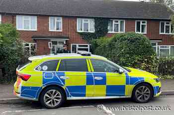 Man in Stonnall killed by two 'XL bullies' near school in savage attack named