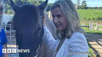 Duchess of Edinburgh visits Wiltshire equine therapy centre