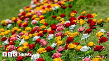 Recycled rose installation opens at Swindon hospice