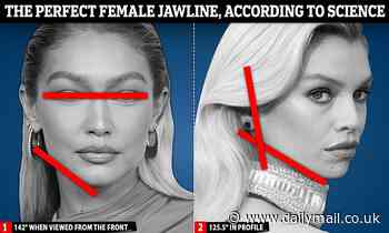 Gigi Hadid has the perfect jawline, according to science - while Stella Maxwell has the most sought-after side profile