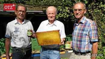 Imker aus Kahla sagen: „Mähroboter sofort verbieten“