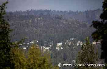 B.C. ending state of emergency as wildfire risk winds down