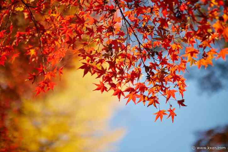 $1 billion for tree plantings spread among US cities to reduce extreme heat and benefit health