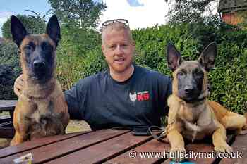 Hull dog trainer against American XL Bully ban argues for breeding and ownership licences instead
