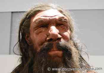 Who Was Altamura Man? How One Neanderthal's Misfortune Became a Blessing for Science