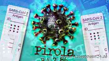 Erster Pirola-Fall in Deutschland: Virologin erklärt, wie Sie sich im Herbst schützen können