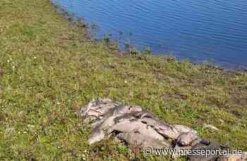 FW Xanten: Amtshilfe - Bergung von verendeten Fischen