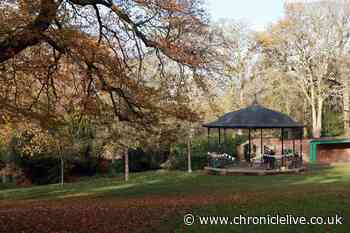 Autumnal weekend in store as Met Office forecasts showers for the North East