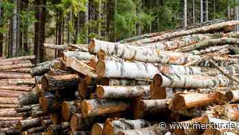 Weilheimer Fernwärme: Initiative fordert Alternativen zu Holz